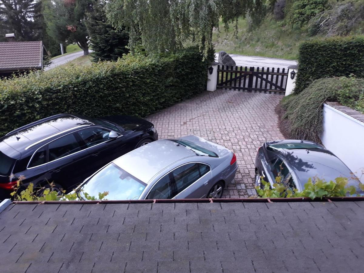 Chalet Les Chardons Gérardmer Εξωτερικό φωτογραφία