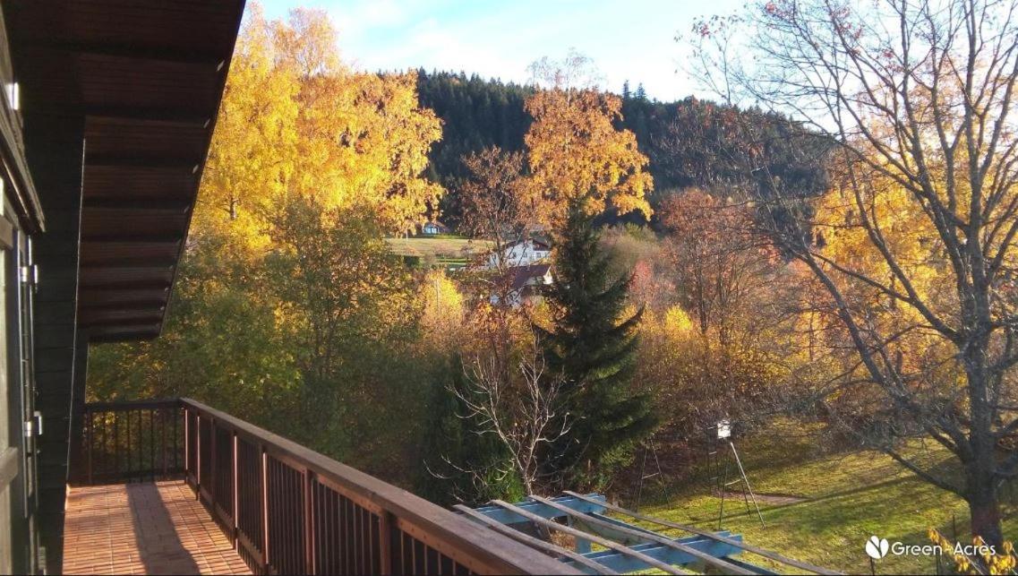 Chalet Les Chardons Gérardmer Εξωτερικό φωτογραφία
